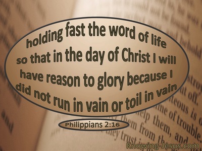 Philippians 2:16 Hold Fast The Word Of Life (sage)